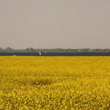 Charmantes Kuestendomizil Mit Garten In Zierow